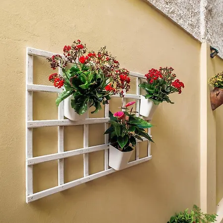 بيت للعطل Sales Duplex Moya (Gran Canaria)